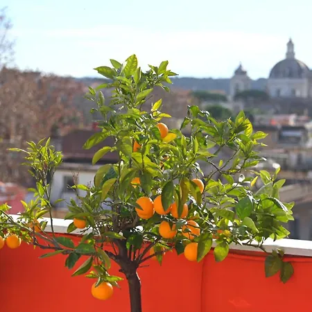 Farnesina Rooftop Terrace